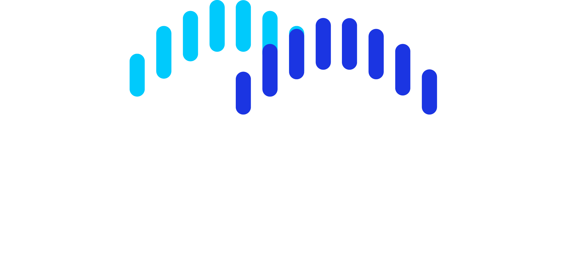 TechBridge Innovations