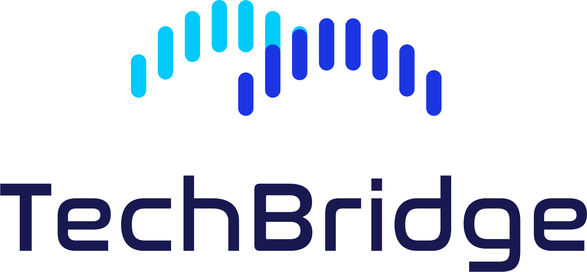 TechBridge Innovations